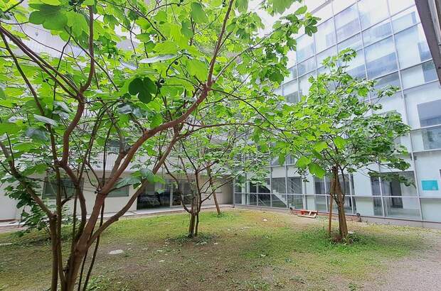 Gewerbeobjekt mieten in 1100 Wien (Bild 2)