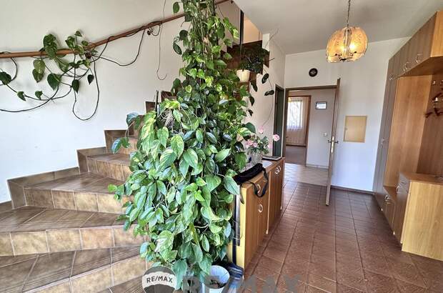 Einfamilienhaus kaufen in 2351 Wr. Neudorf (Bild 4)