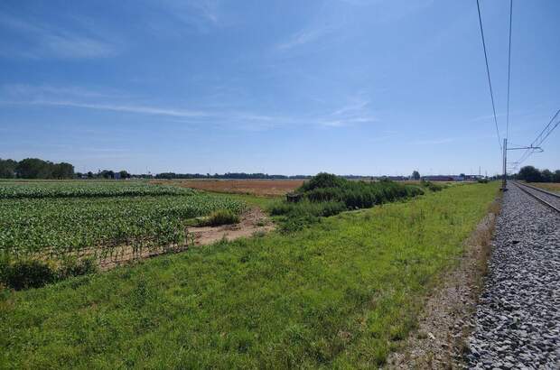 Gewerbeobjekt kaufen in 9231 Beltinci (Bild 3)