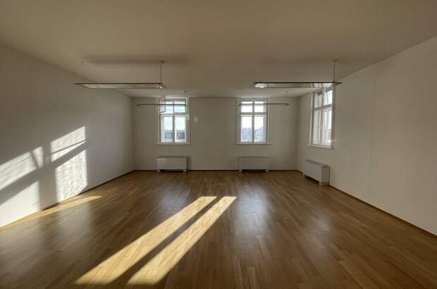 Gewerbeobjekt mieten in 1010 Wien (Bild 4)