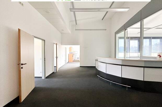 Gewerbeobjekt mieten in 4490 St. Florian (Bild 4)