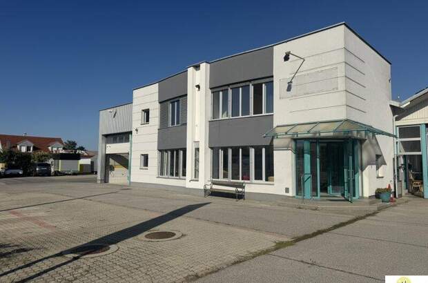 Büro / Praxis mieten in 7122 Gols (Bild 2)