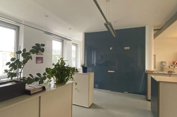 Gewerbeobjekt mieten in 1190 Wien (Bild 3)