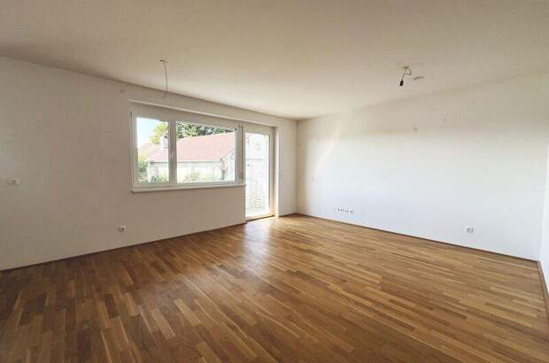 Terrassenwohnung kaufen in 3250 Wieselburg (Bild 1)