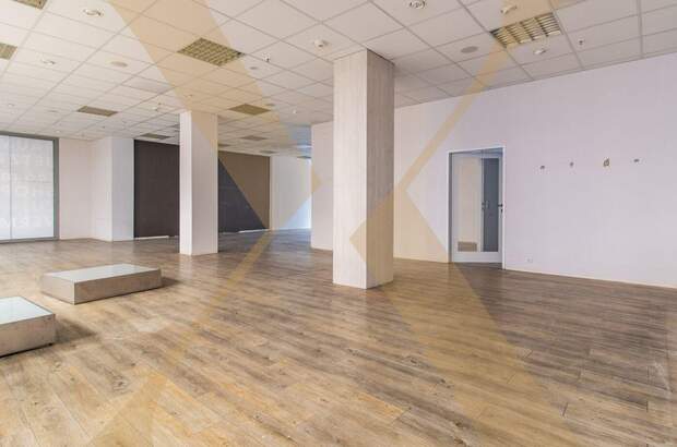 Gewerbeobjekt mieten in 4020 Linz (Bild 1)