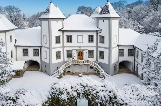 Schloss kaufen in 4693 Desselbrunn (Bild 4)