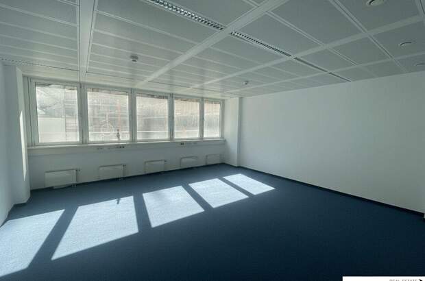 Gewerbeobjekt mieten in 1020 Wien (Bild 3)
