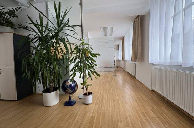 Gewerbeobjekt mieten in 4710 Grieskirchen (Bild 2)