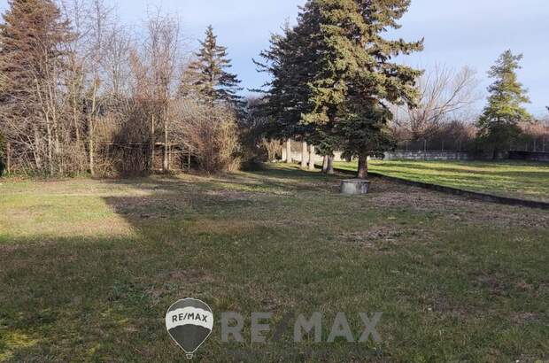 Grundstück kaufen in 2601 Sollenau (Bild 5)