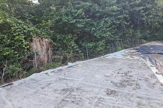 Gewerbeobjekt mieten in 8051 Graz (Bild 1)