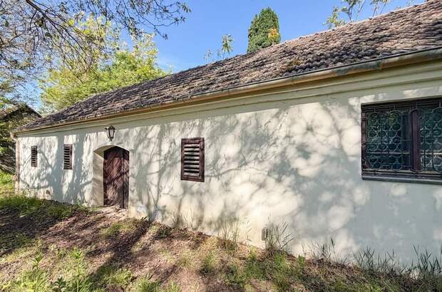 Haus kaufen in 3462 Absdorf