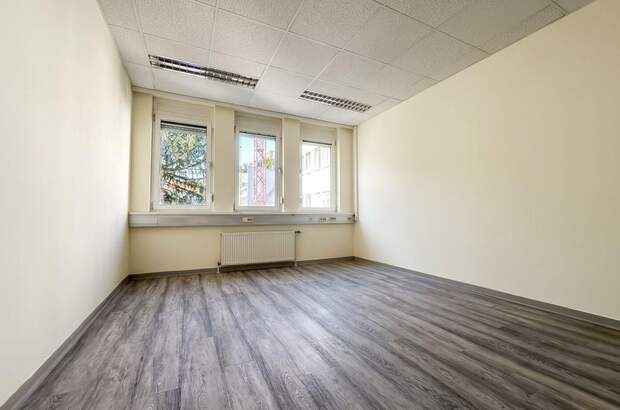 Gewerbeobjekt mieten in 1110 Wien (Bild 4)