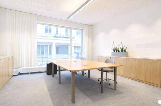 Gewerbeobjekt mieten in 1070 Wien (Bild 3)