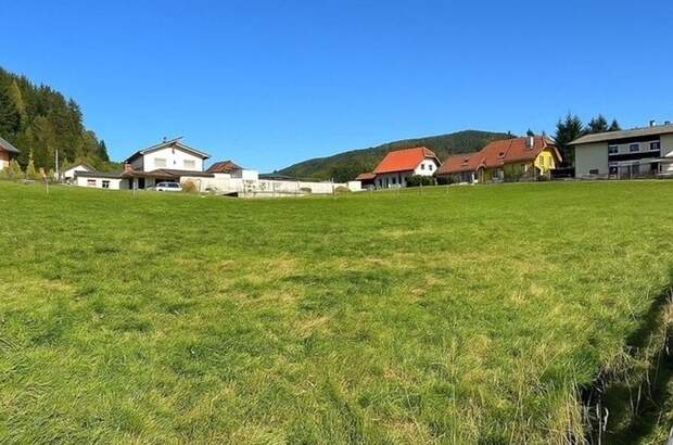 Grundstück kaufen in 8831 Niederwölz (Bild 2)