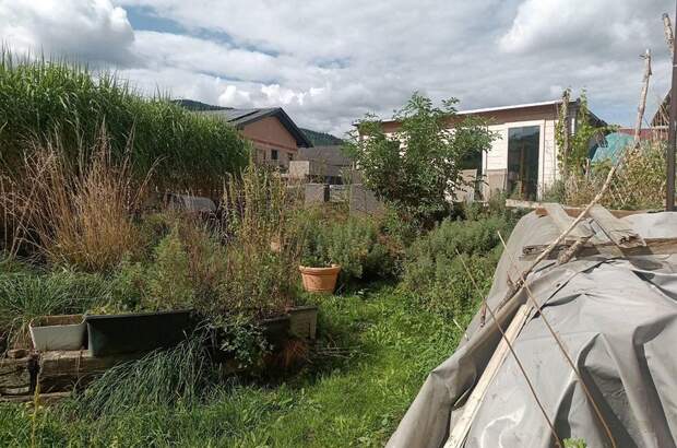 Einfamilienhaus mieten in 9560 Steindorf (Bild 2)