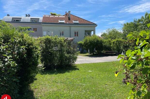 Büro / Praxis mieten in 2320 Schwechat (Bild 5)