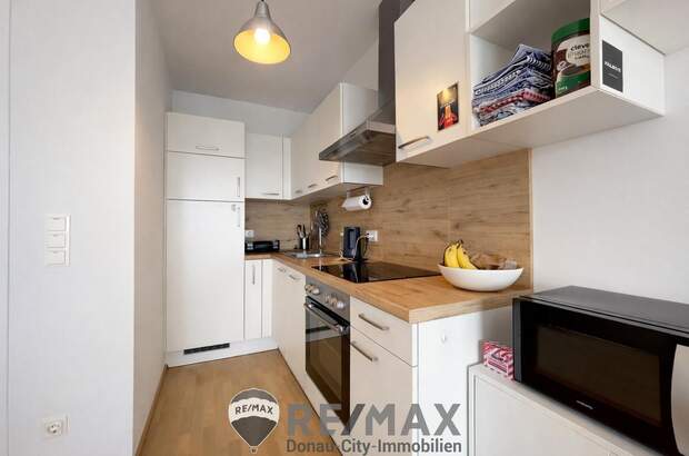 Terrassenwohnung mieten in 1220 Wien (Bild 1)