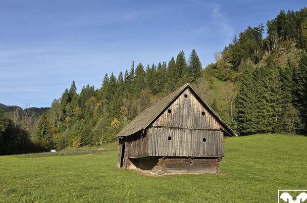 Grundstück kaufen in 9135 Ebriach (Bild 5)