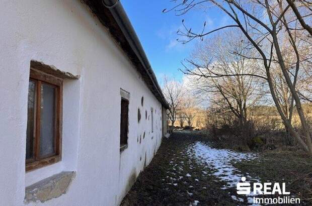 Haus kaufen in 4262 Dorf Leopoldschlag (Bild 4)