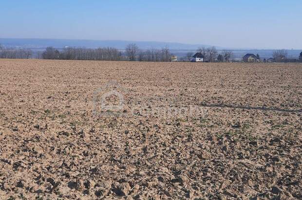 Grundstück kaufen in 8394 Nemesboldogasszonyfa (Bild 3)