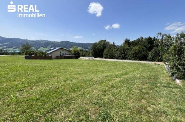 Grundstück kaufen in 4893 Zell