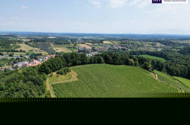 Grundstück kaufen in 8462 Gamlitz (Bild 2)