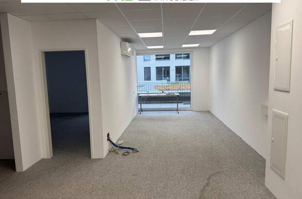 Gewerbeobjekt mieten in 4600 Wels (Bild 5)