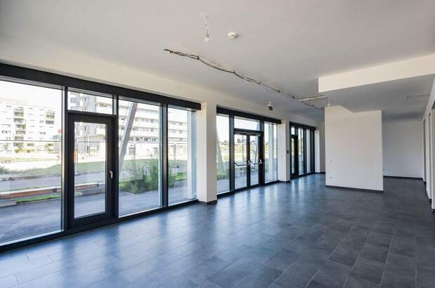 Gewerbeobjekt mieten in 1220 Wien (Bild 4)