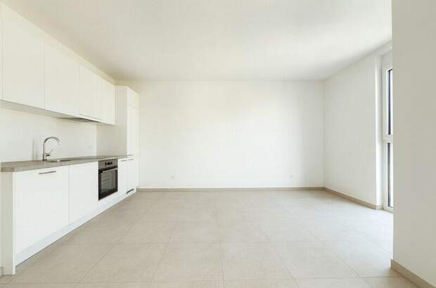 Terrassenwohnung mieten in 1100 Wien (Bild 1)