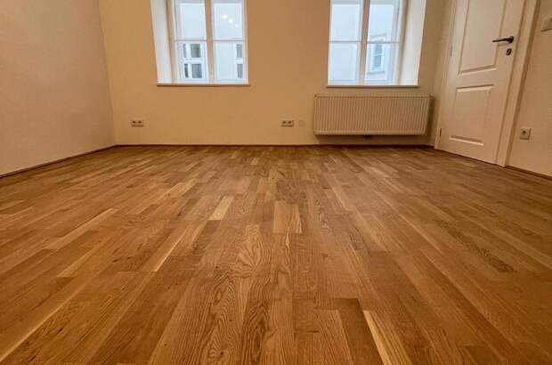 Gewerbeobjekt mieten in 1080 Wien (Bild 1)