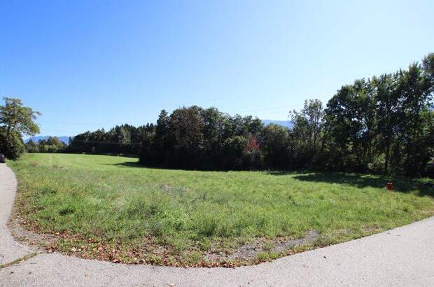 Grundstück kaufen in 9072 Ludmannsdorf (Bild 1)