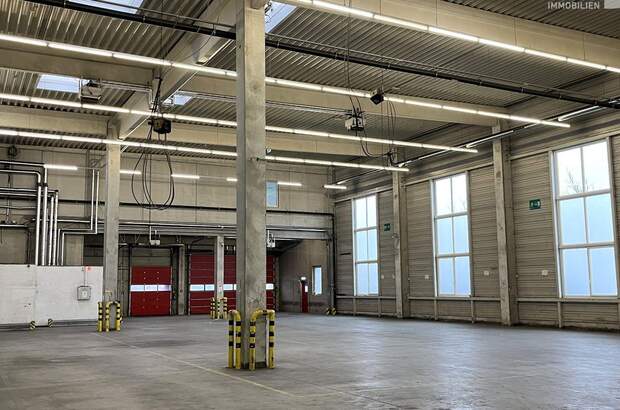 Gewerbeobjekt mieten in 1300 Flughafen Wien (Bild 5)