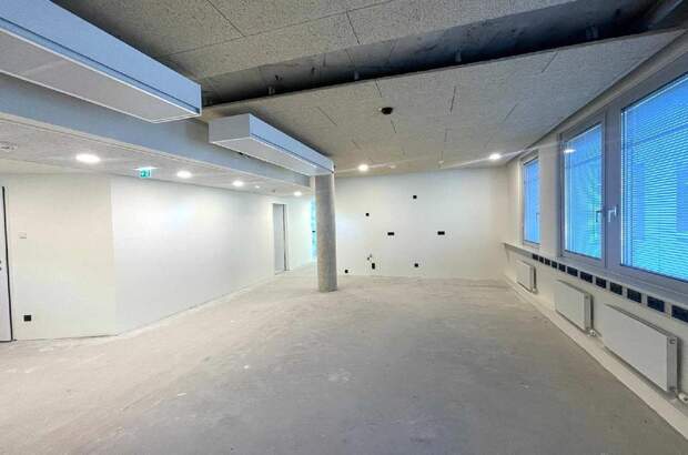 Gewerbeobjekt mieten in 1020 Wien (Bild 5)