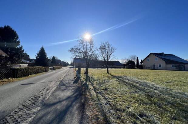 Grundstück kaufen in 8431 Gralla (Bild 4)