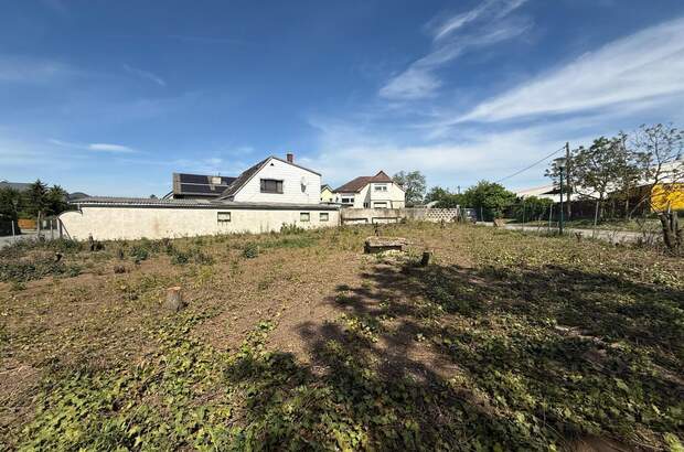 Grundstück kaufen in 2201 Hagenbrunn (Bild 1)