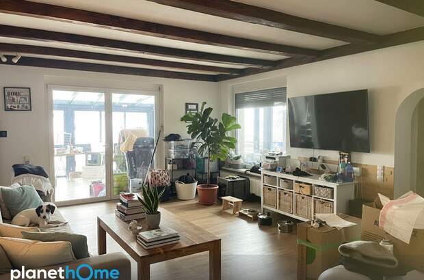 Einfamilienhaus kaufen in 2811 Wiesmath (Bild 3)