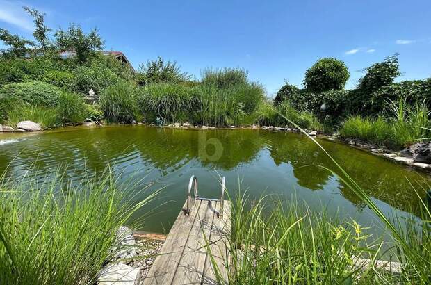 Mehrfamilienhaus kaufen in 5143 Feldkirchen (Bild 2)