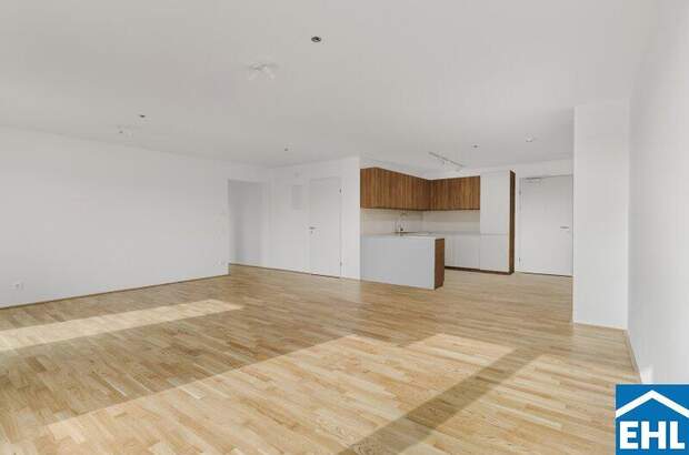 Terrassenwohnung mieten in 1200 Wien (Bild 3)