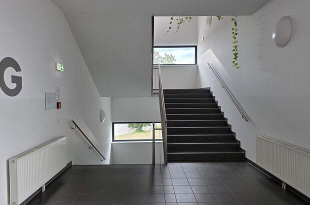 Gewerbeobjekt mieten in 8055 Graz (Bild 3)