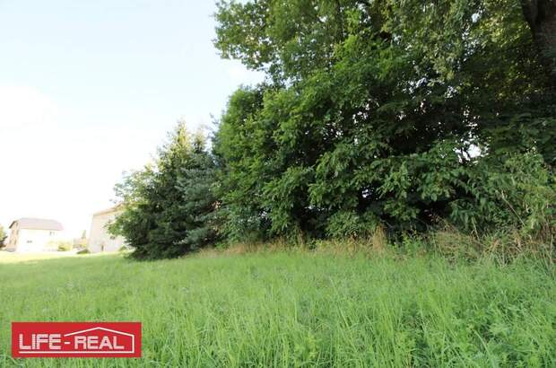 Grundstück kaufen in 4230 Pregarten