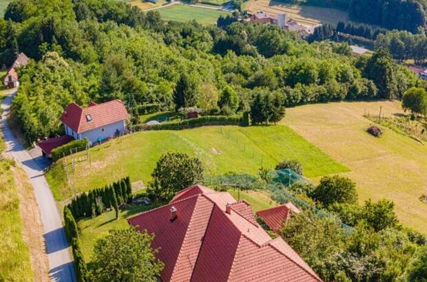 Haus mit Garten kaufen in 2250 Ptuj (Bild 4)