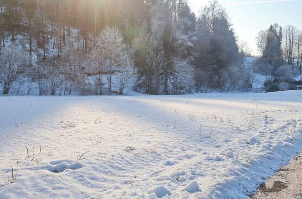 Grundstück kaufen in 4645 Grünau (Bild 4)