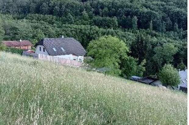 Grundstück kaufen in 3051 Neulengbach (Bild 5)