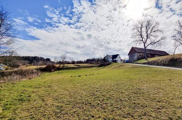 Grundstück kaufen in 8101 Gratkorn (Bild 5)