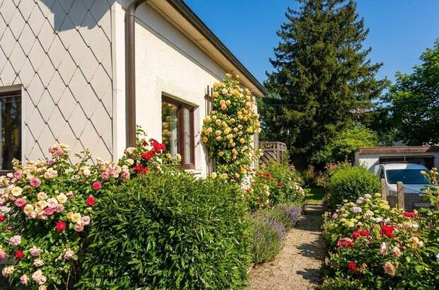 Haus kaufen in 4910 Ried (Bild 3)