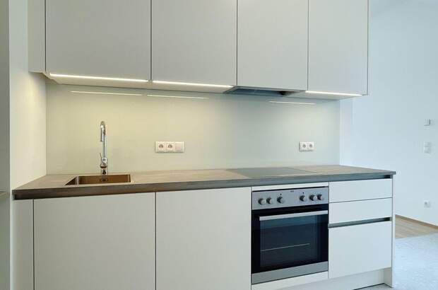 Wohnung kaufen in 1190 Wien (Bild 1)