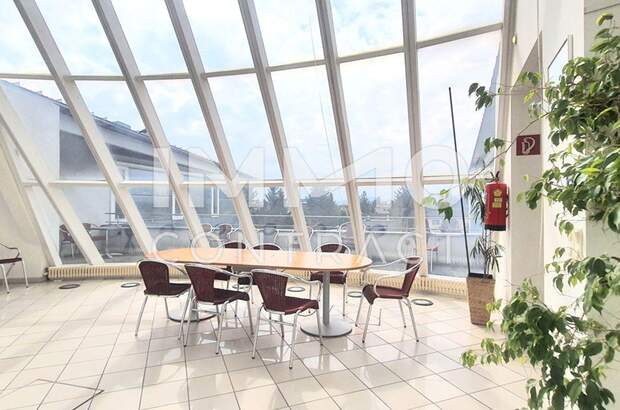 Gewerbeobjekt mieten in 2380 Perchtoldsdorf (Bild 5)