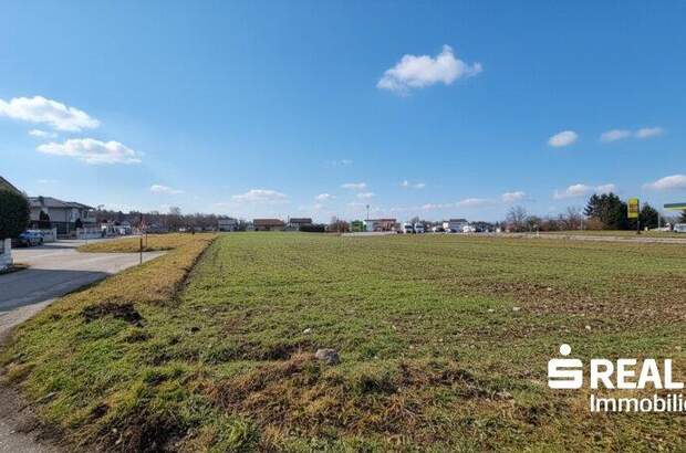 Grundstück kaufen in 4614 Marchtrenk (Bild 5)