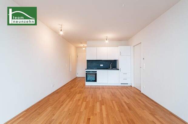 Terrassenwohnung mieten in 1100 Wien (Bild 1)