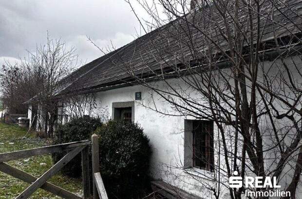 Haus kaufen in 4262 Dorf Leopoldschlag (Bild 5)